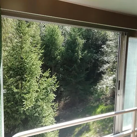 Vetrate Sul Bosco * Marilleva